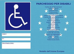 disabilinauto disabili mobilita